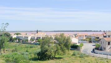 A residential area with houses, a road, and a body of water in the background.