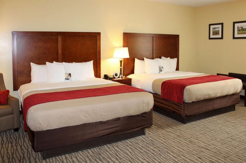 Premium bedding, desk, laptop workspace, blackout drapes