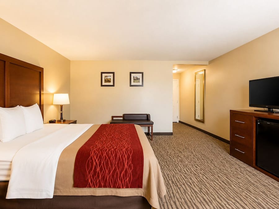 A hotel room with a bed, a desk, a television, and a mirror.