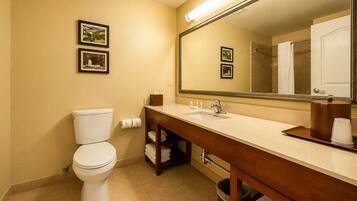 Combined shower/tub, free toiletries, hair dryer, towels
