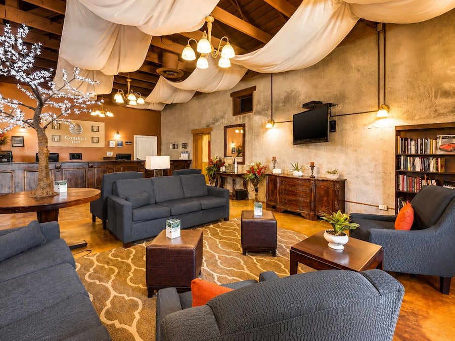 Een hotel lobby met een receptiebalie, banken, een bijzettafeltje, een boekenkast en een grote boom met verlichting.