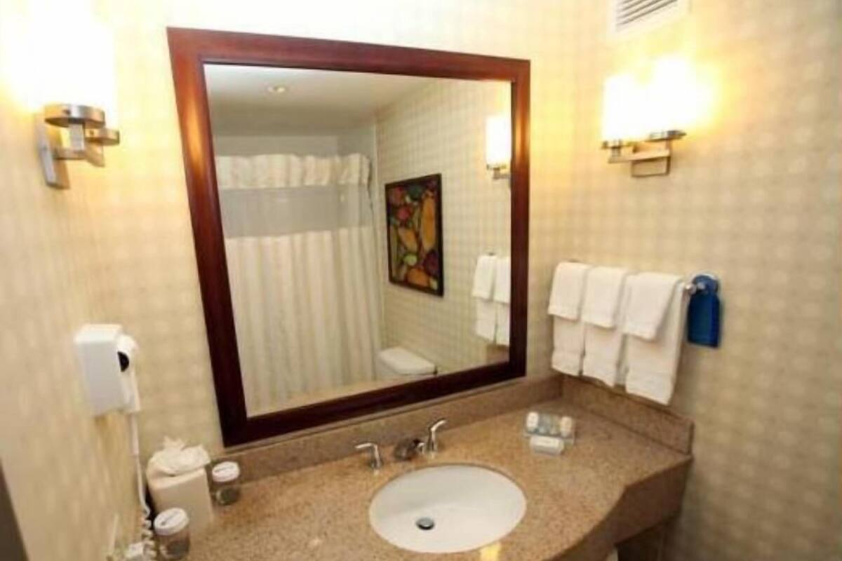 Bathroom | Combined shower/tub, free toiletries, hair dryer, towels
