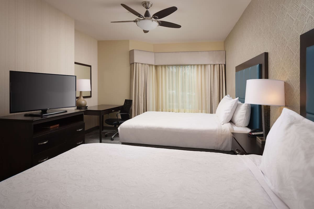 A hotel room with two beds, a TV, a desk, a chair, a lamp, and a ceiling fan.