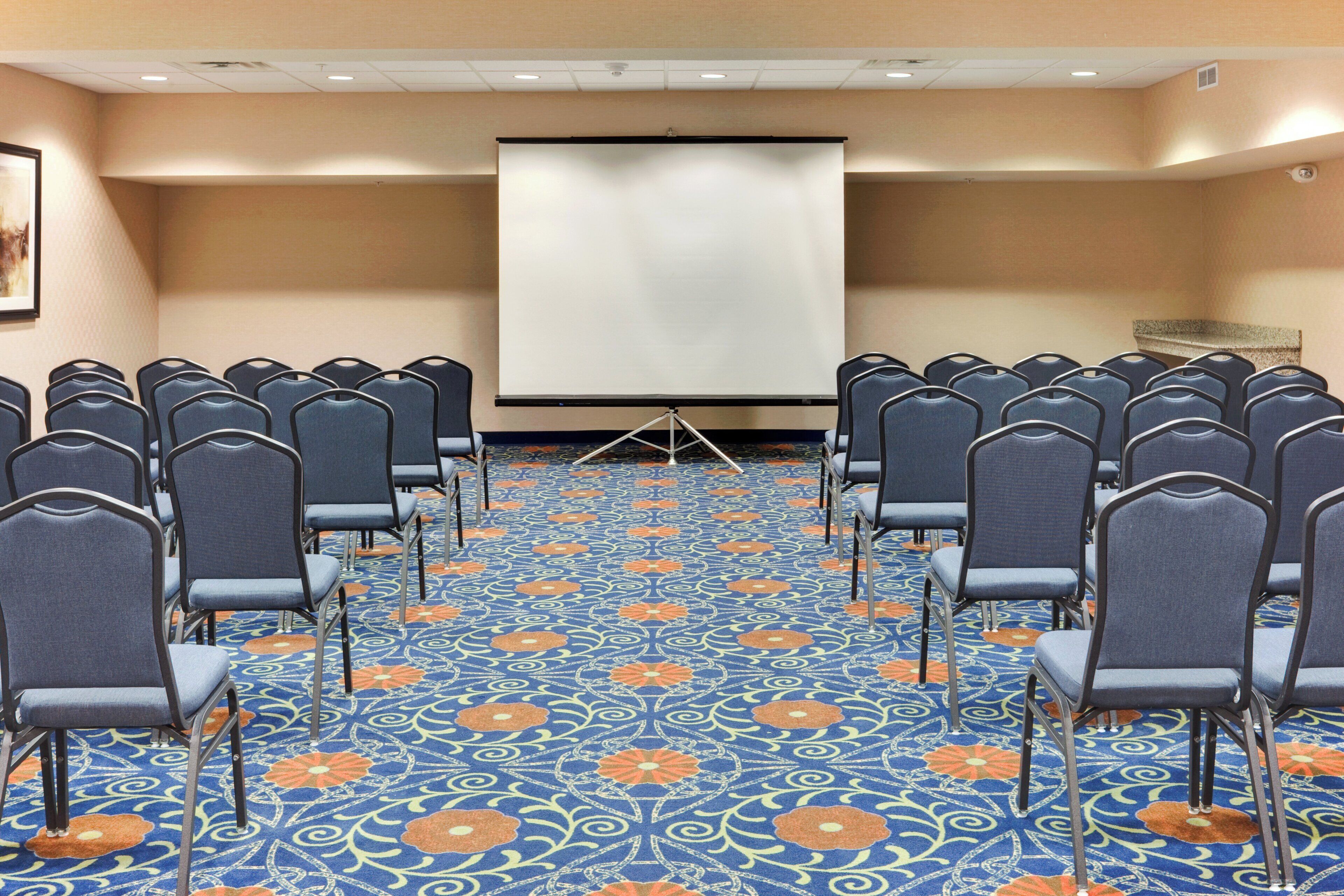 A conference room with rows of chairs facing a projection screen, carpeted floor with a floral pattern, and a plain wall with a framed picture.