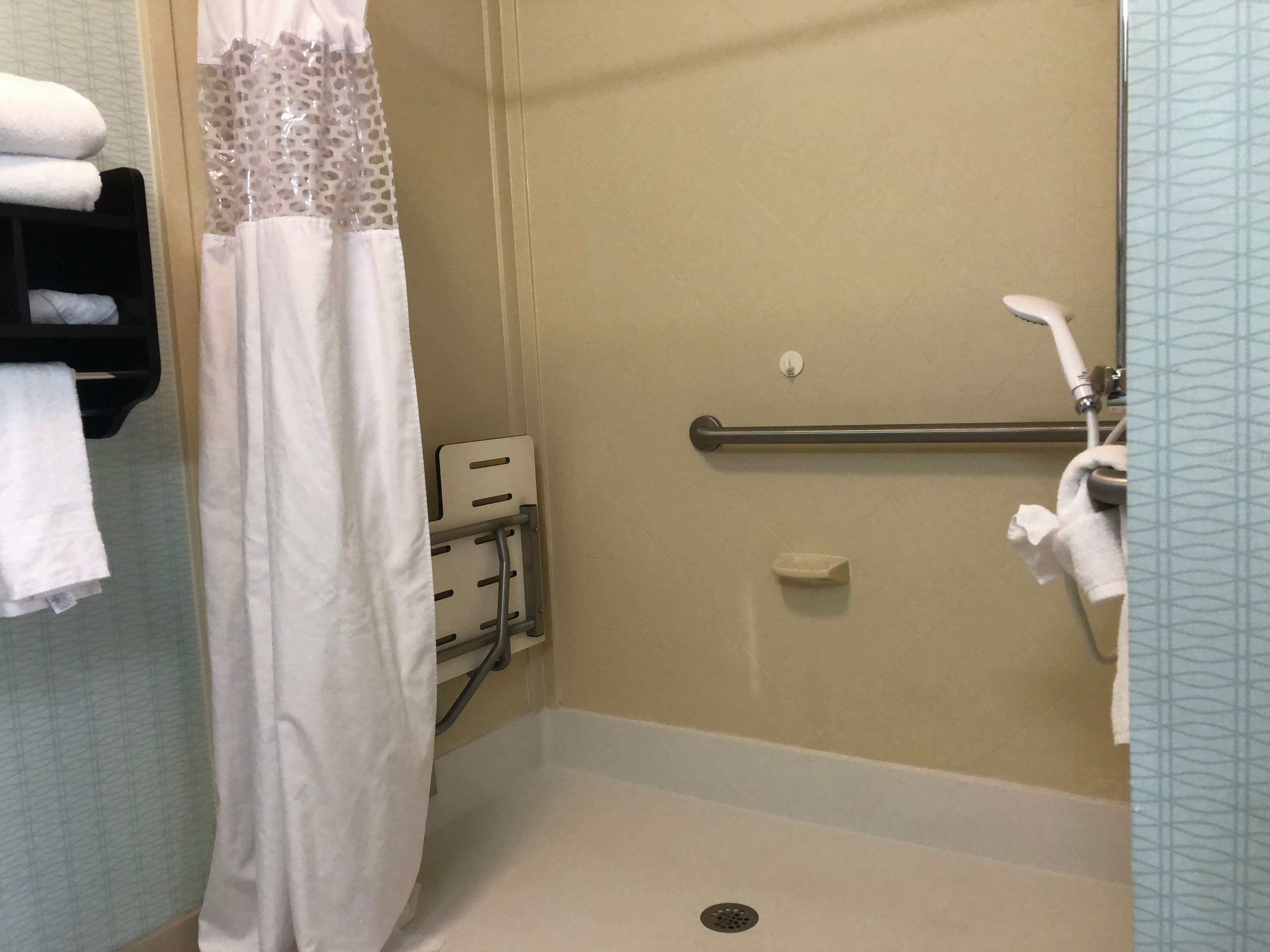 studio, accessible, non smoking | bathroom shower
