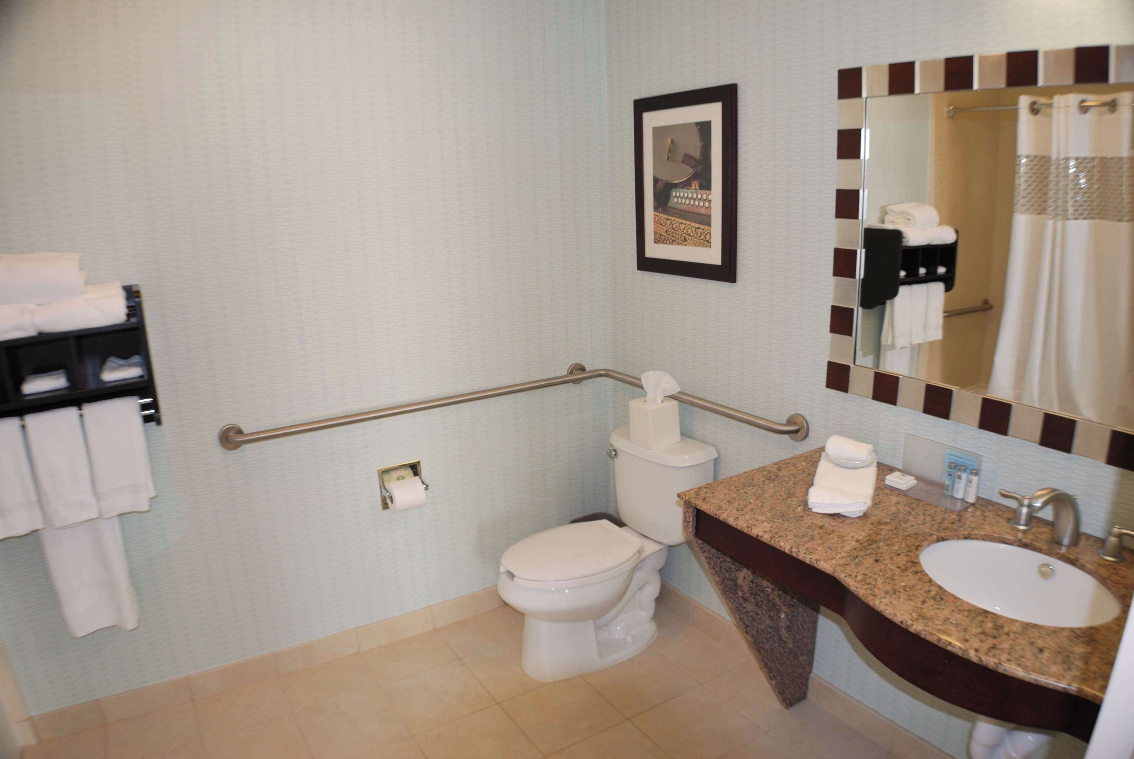 combined shower/bathtub, free toiletries, hair dryer, towels