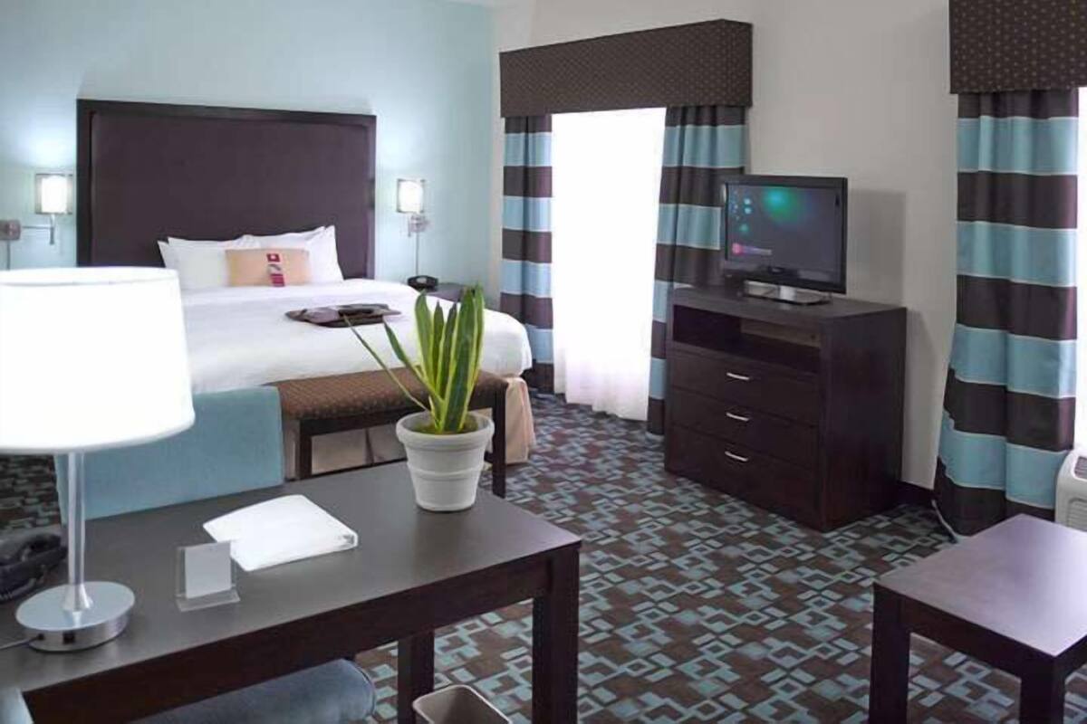 A hotel room with a bed, a desk with a lamp, a television, a plant, and a patterned floor.