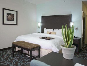 Room, 1 King Bed