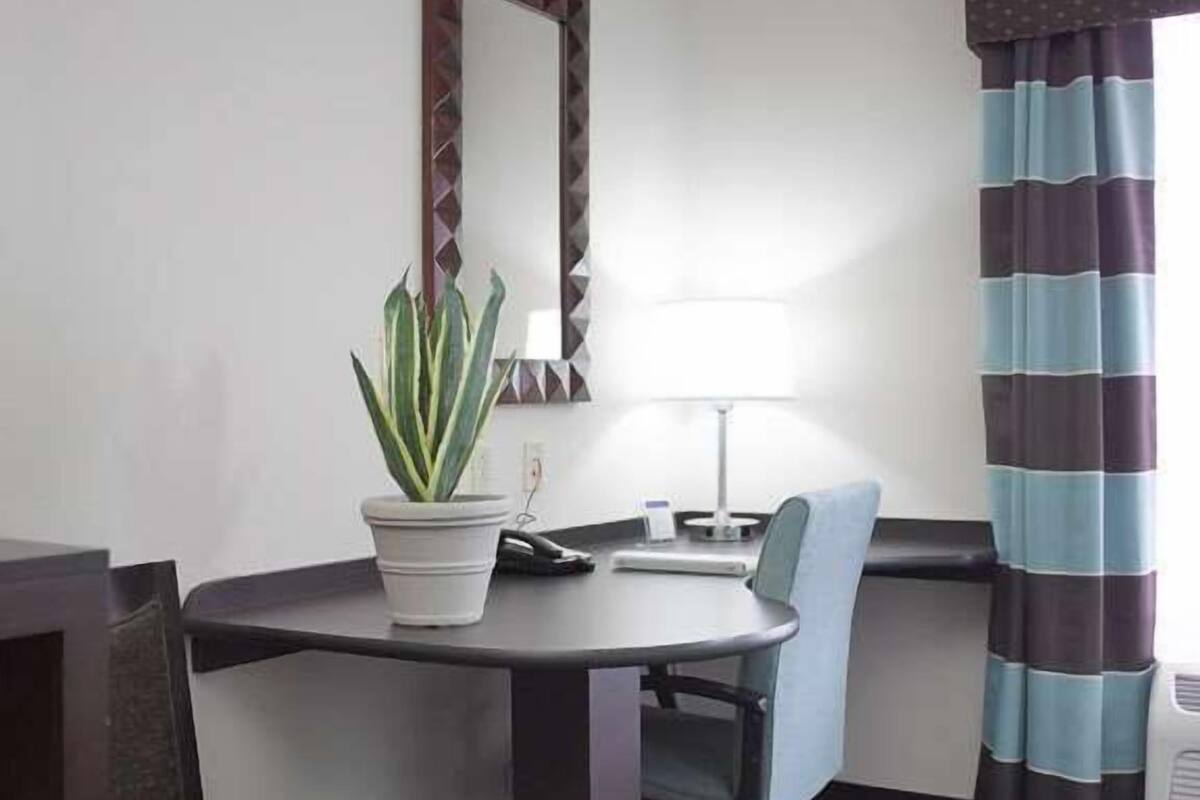 A small meeting room with a table, chairs, a potted plant, a mirror, and a lamp.
