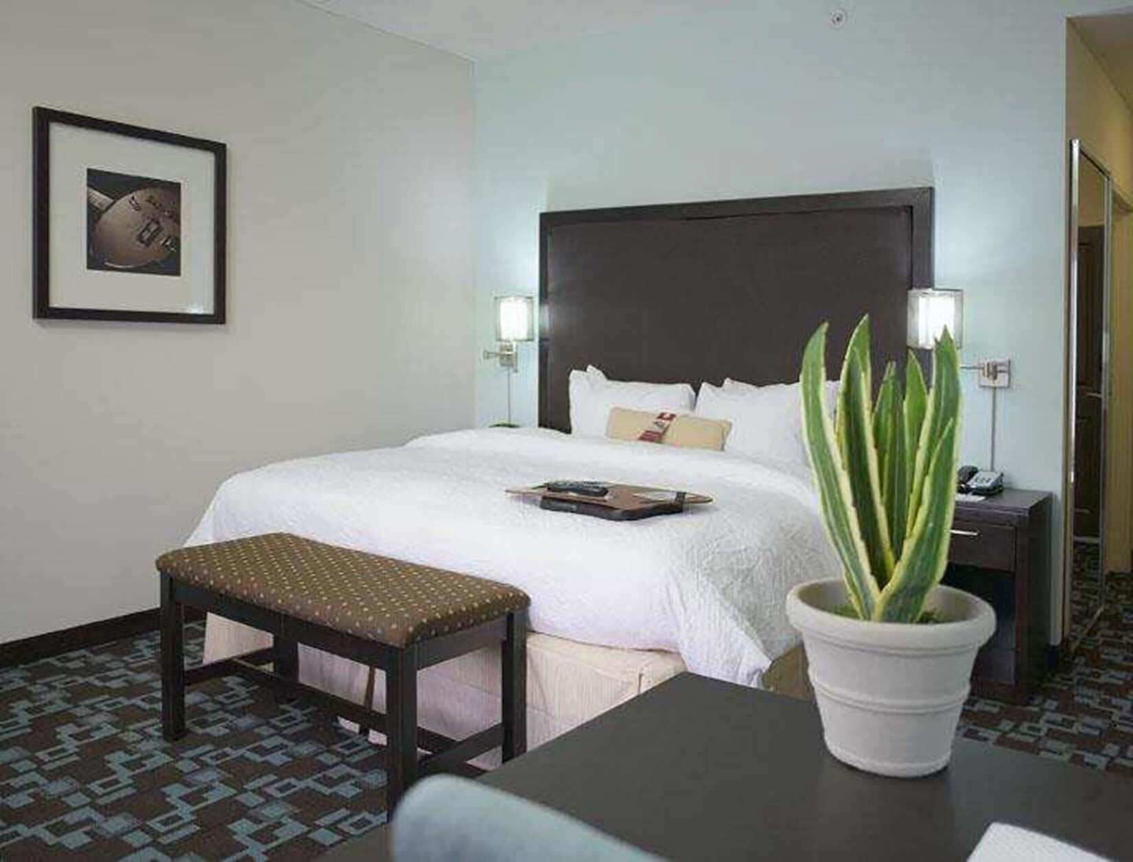 Hypo-allergenic bedding, pillow-top beds, in-room safe