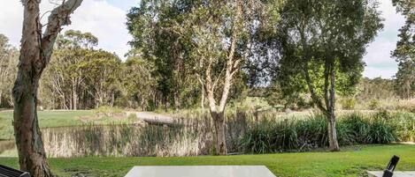 A table and chairs in a park with trees and a pond.