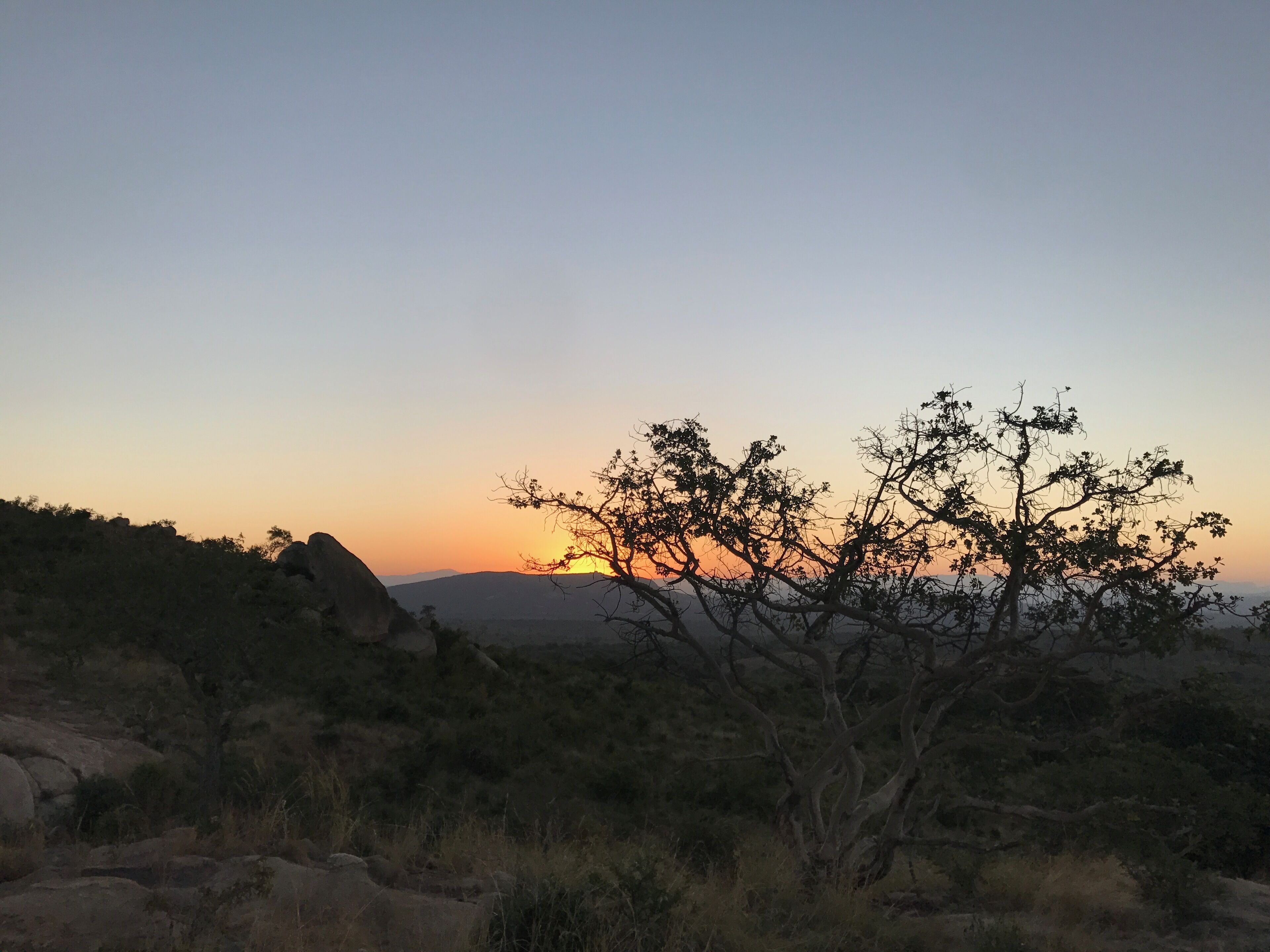 A desert landscape with sparse vegetation and a clear sky during sunset.
