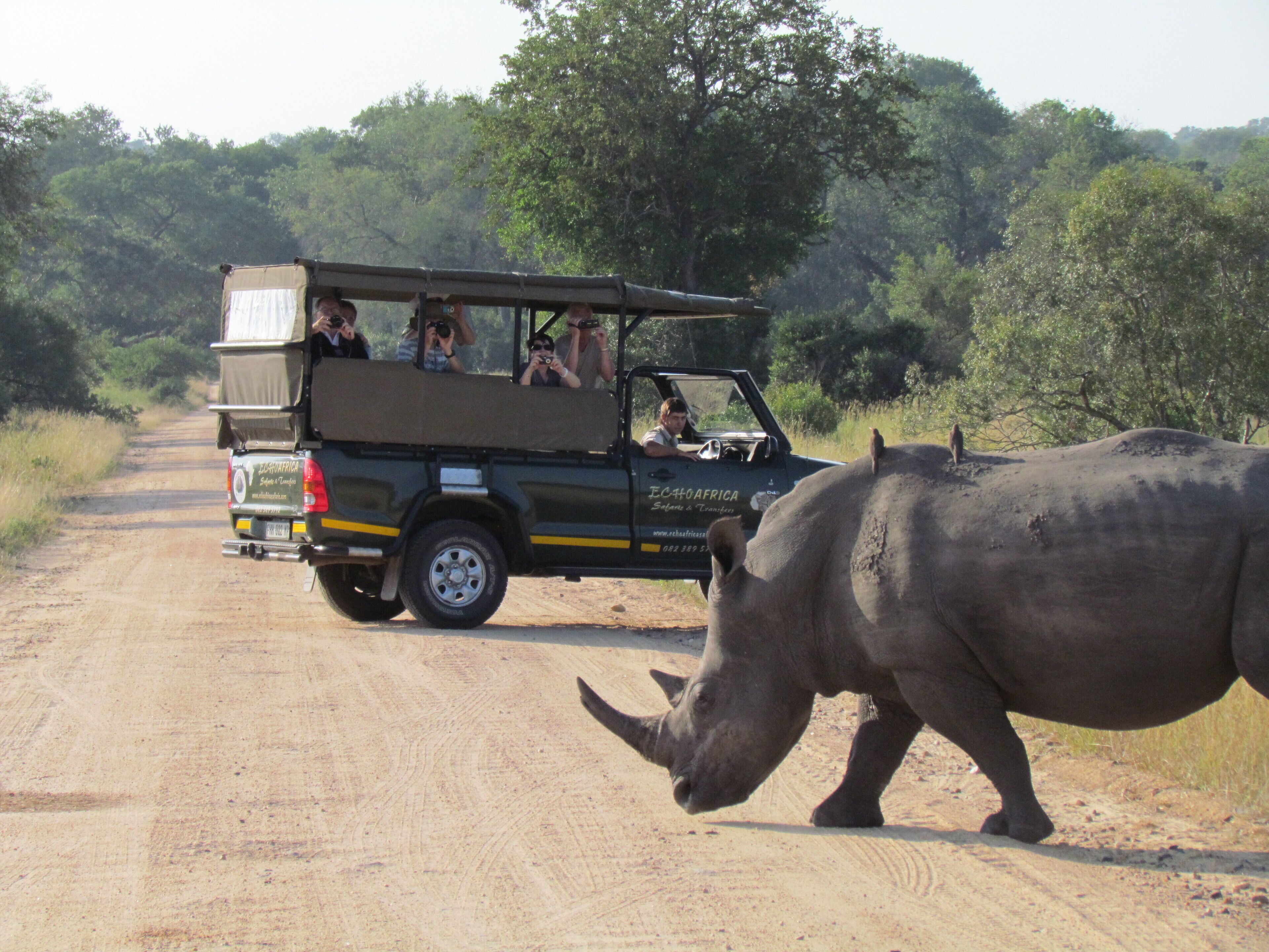 Ein Safarifahrzeug mit Fahrgästen und einem Nashorn auf einer unbefestigten Straße.