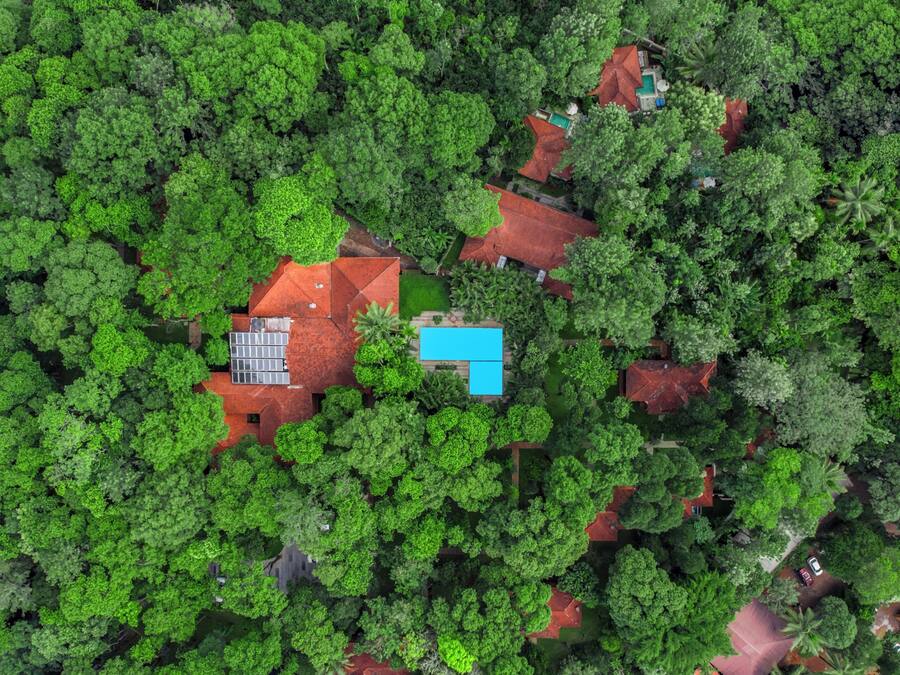 Vista aèria d'una zona residencial amb arbres verds i frondosos, una piscina blava i cases amb teulades vermelles.