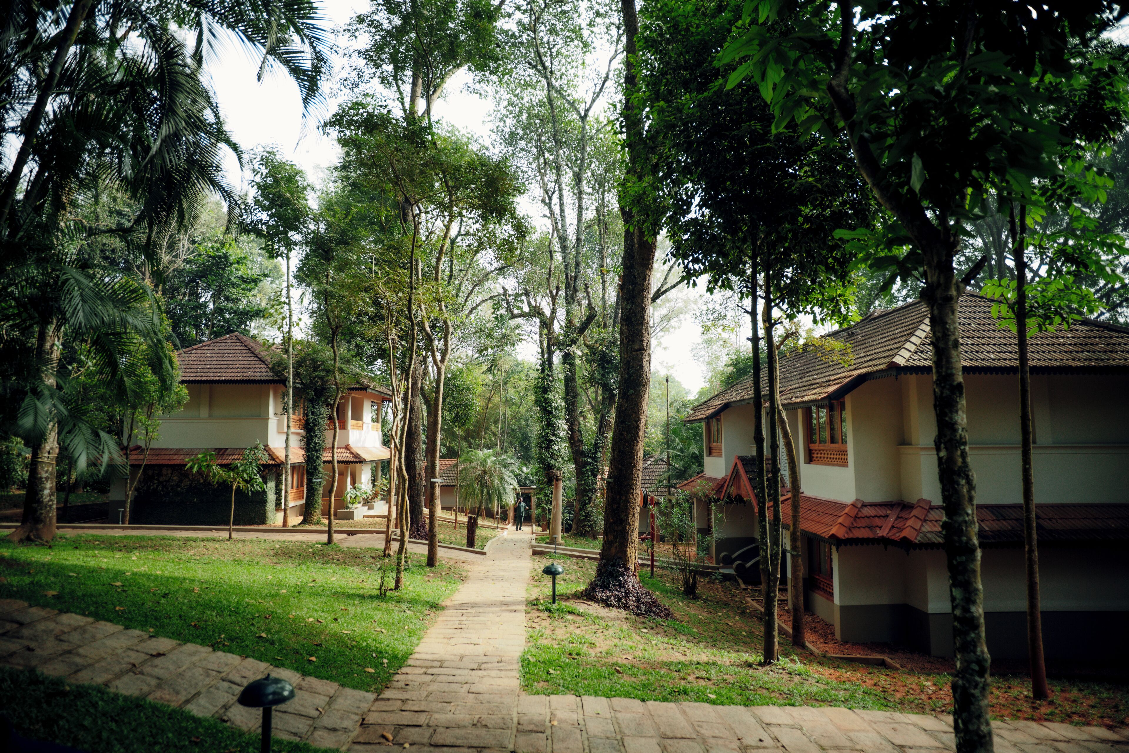 A pathway leading to a row of traditional-style buildings surrounded by lush greenery.
