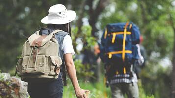 Two hikers in a forested area, one with a beige backpack and the other with a blue backpack.