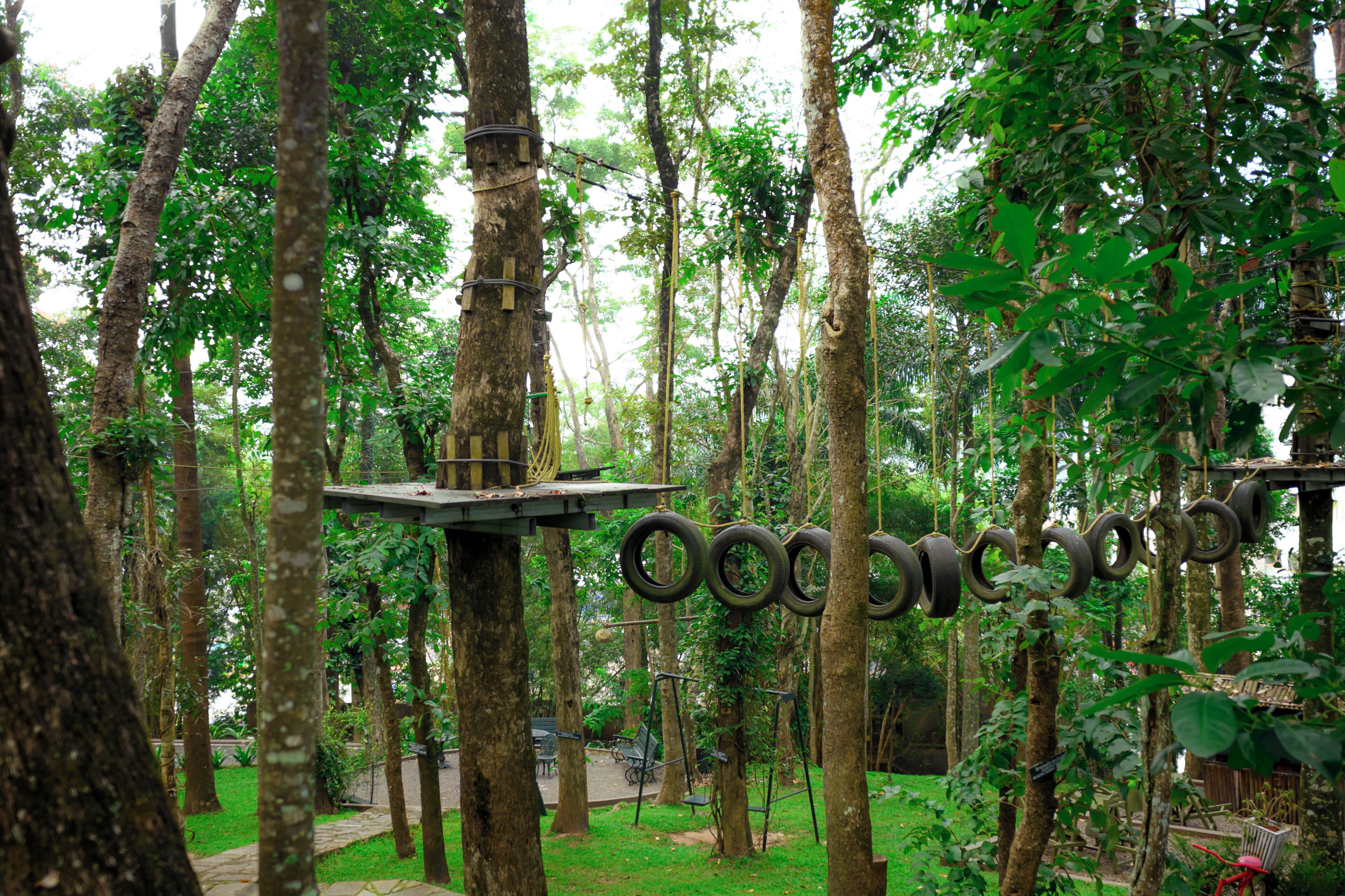 A forested area with a wooden structure and tire swings.