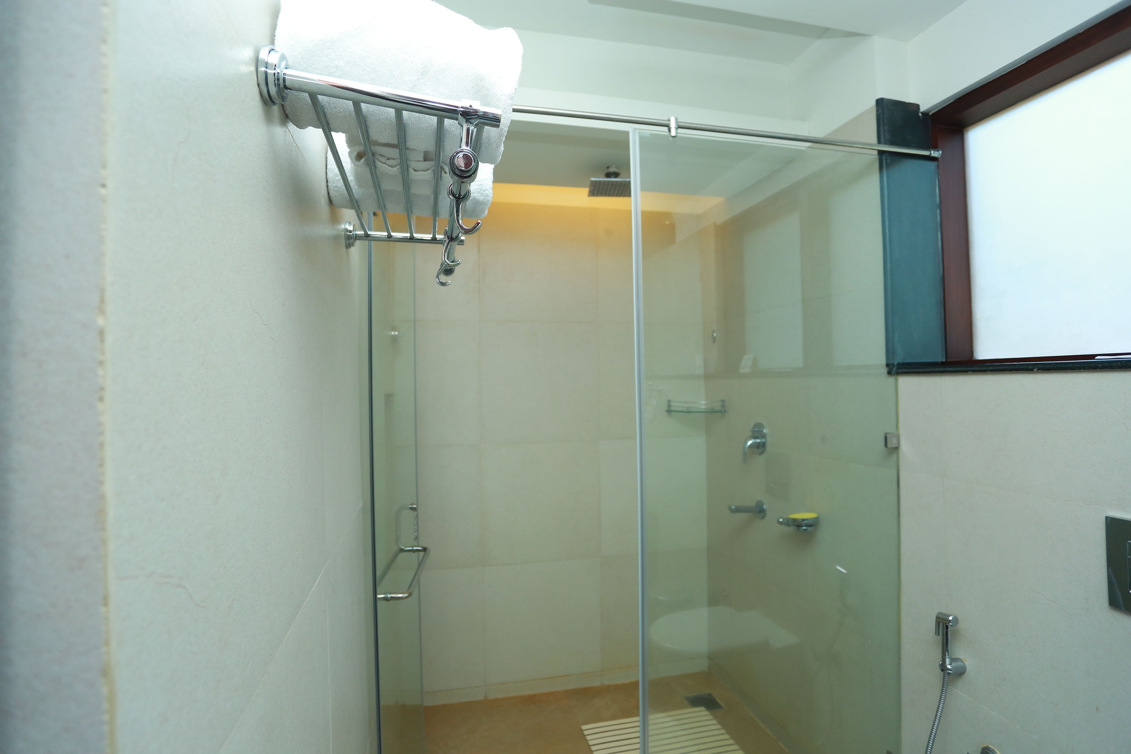 Ducha con mampara de vidrio, barra para toallas, puerta de cristal y panel de control.