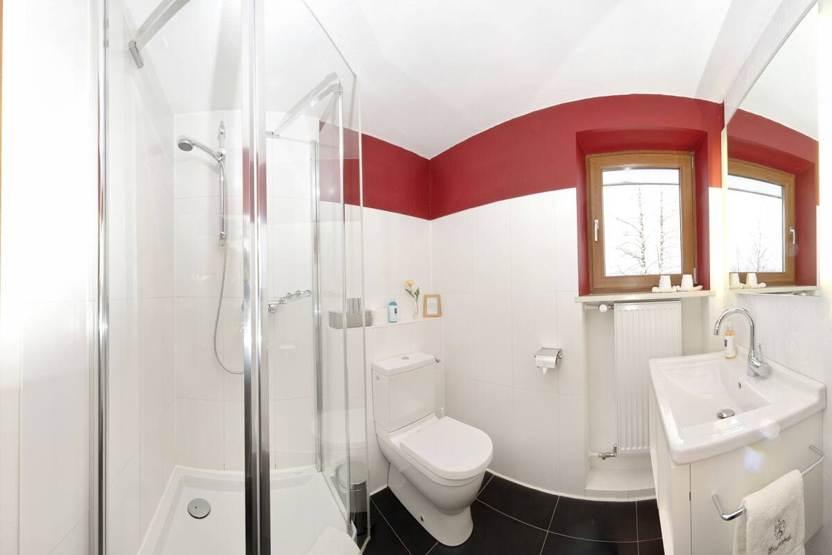 standard double room (theme) | bathroom | free toiletries, hair dryer, towels