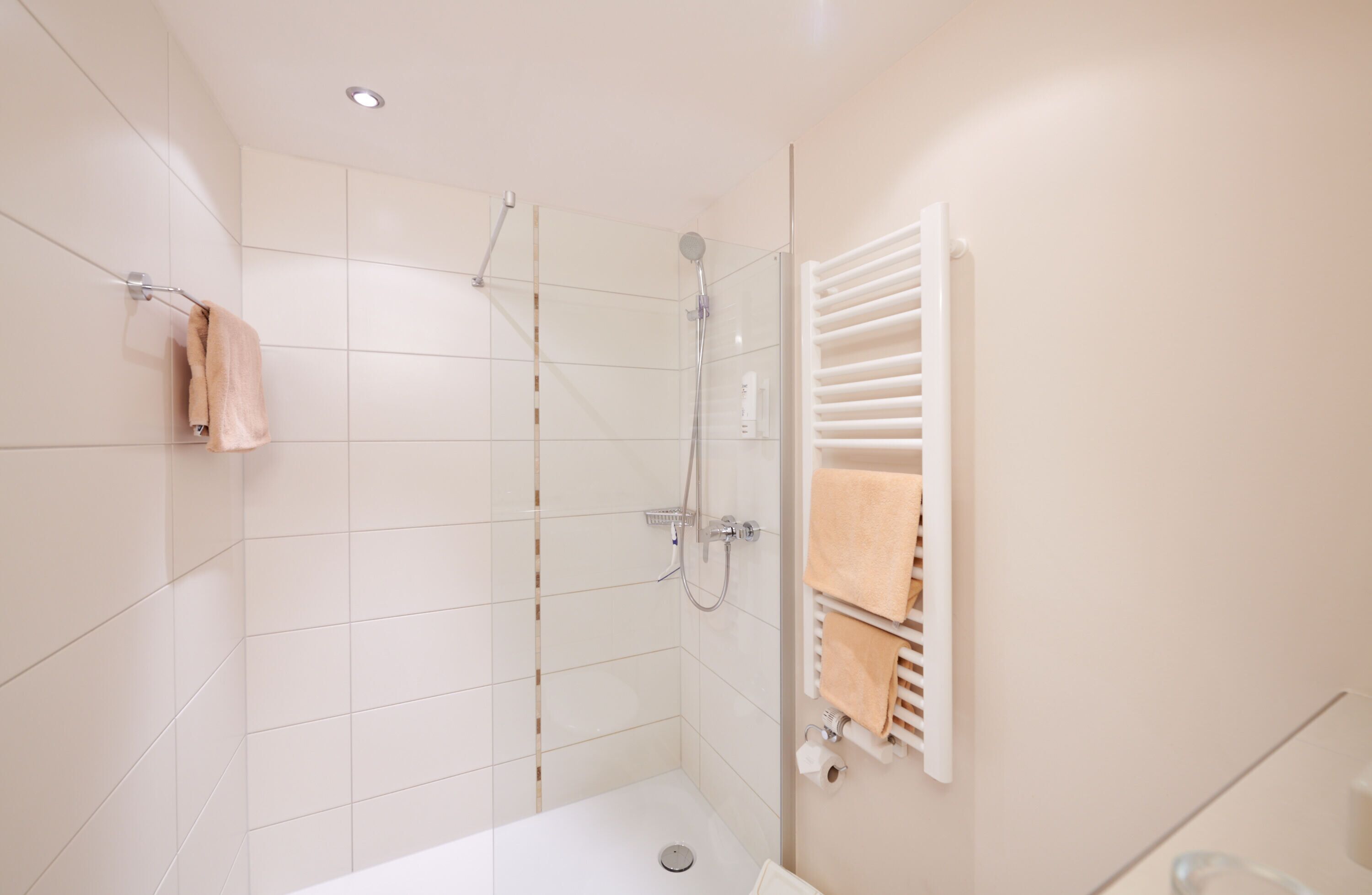 double room (rotthal) | bathroom | shower, free toiletries, hair dryer, towels