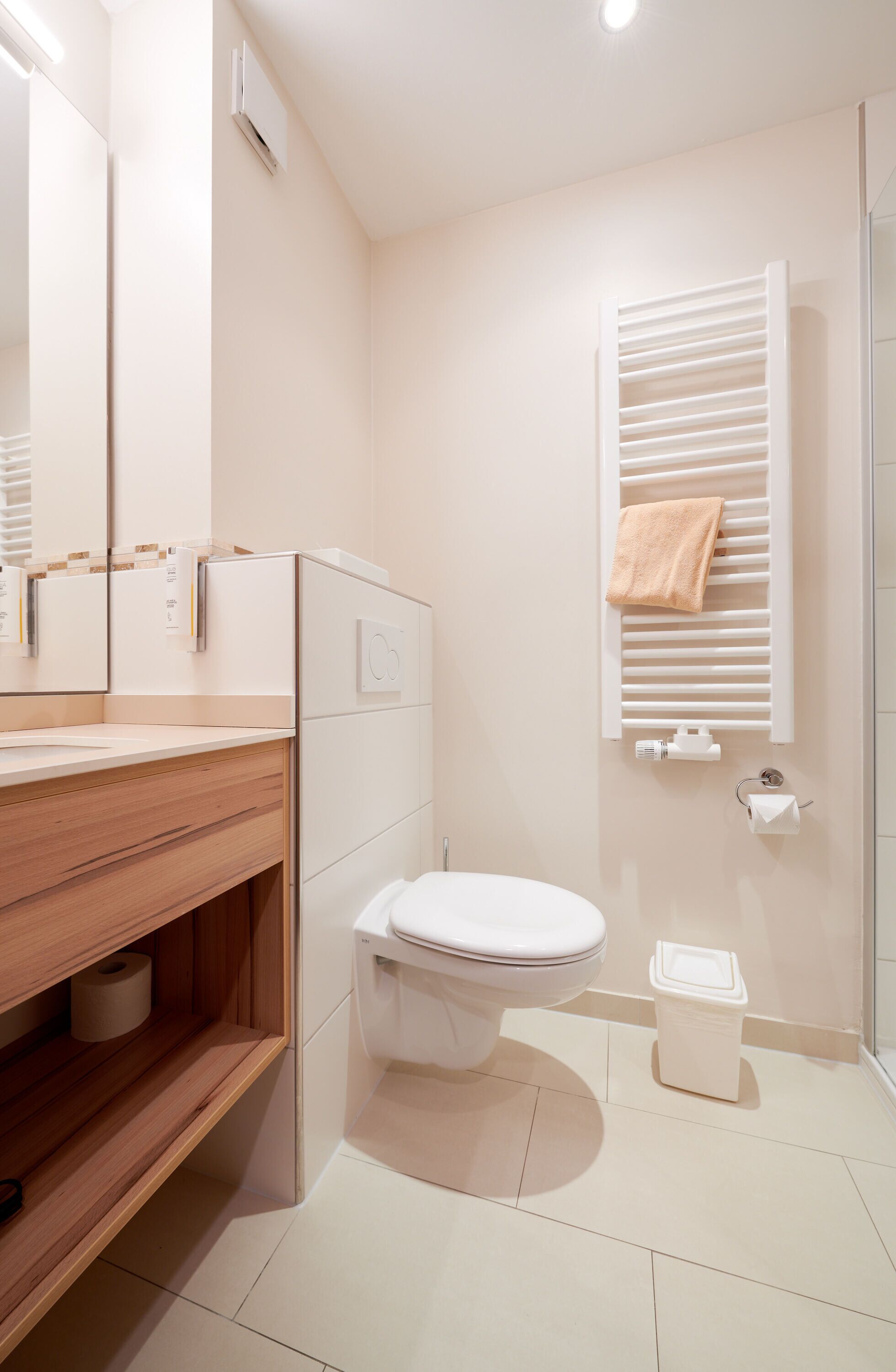 single room (rotthal) | bathroom | shower, free toiletries, hair dryer, towels