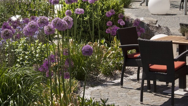 Un espace extérieur aménagé avec des tables et des chaises, entouré d’une végétation luxuriante et de fleurs violettes.