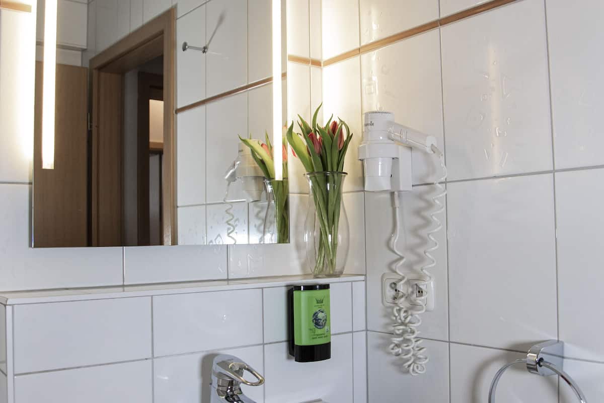 shower, free toiletries, hair dryer, towels