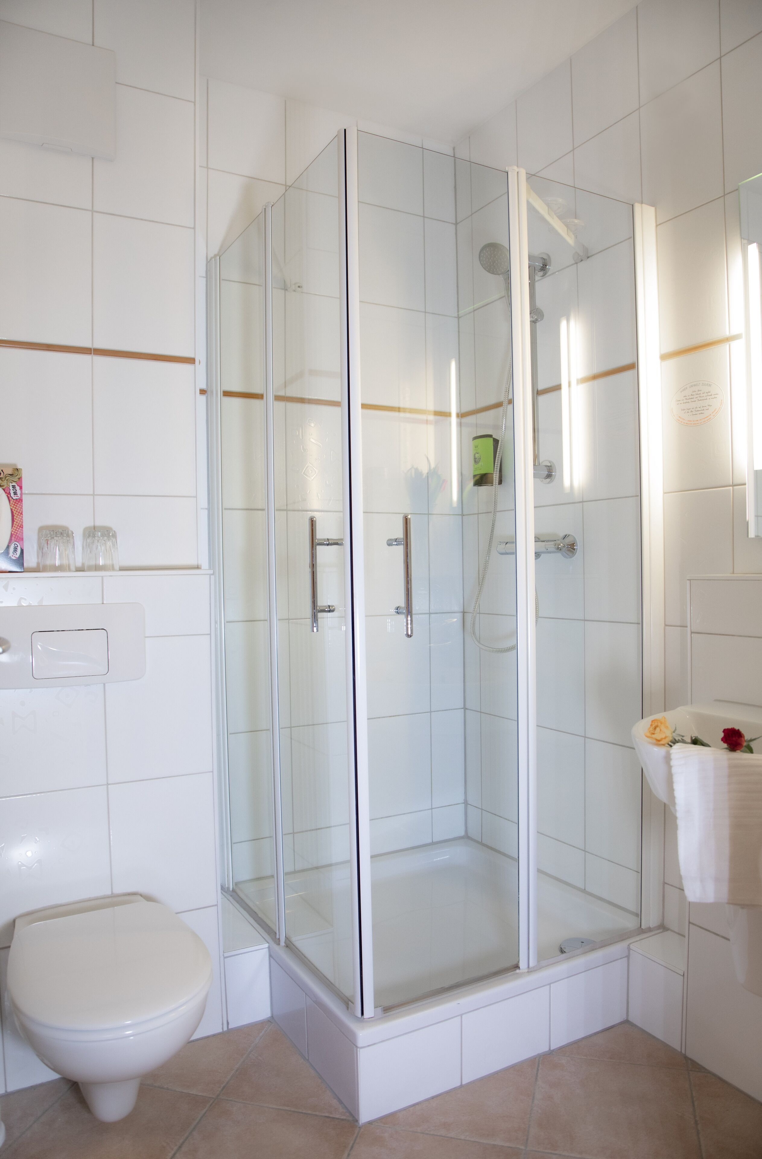 shower, free toiletries, hair dryer, towels