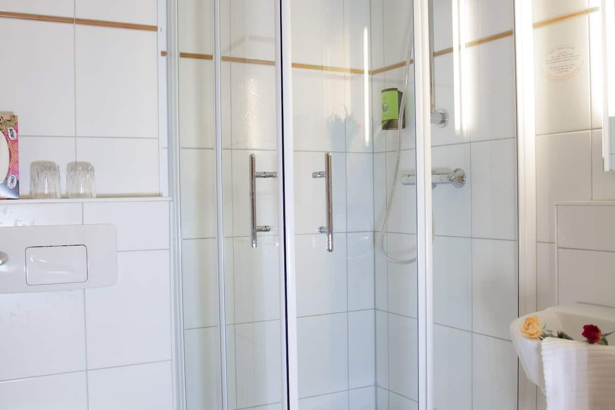 shower, free toiletries, hair dryer, towels