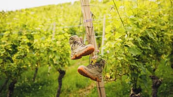 A pair of hiking boots suspended on a wooden post in a vineyard.