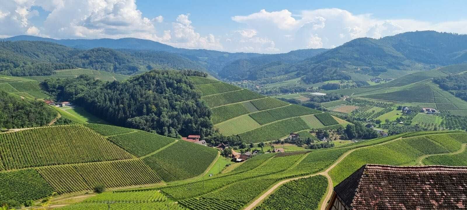 Vistas al campo desde el alojamiento