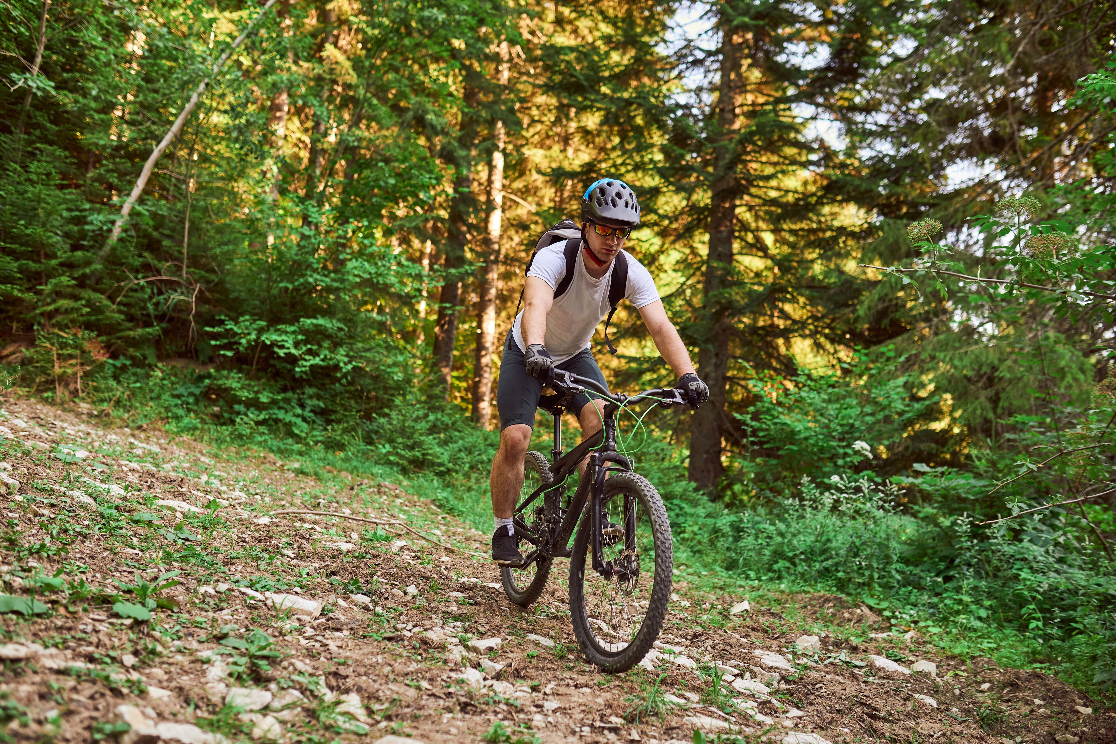 Una persona pedaleando en bicicleta de montaña sobre un sendero rocoso, rodeada de un bosque denso.