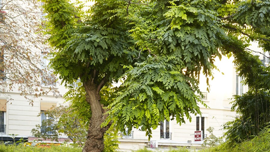 Mercure Paris Bastille Saint Antoine