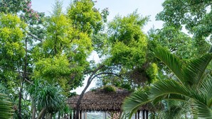 A pathway leading to a covered seating area surrounded by lush greenery and a variety of plants. - Futian Shangri-La Shenzhen (Shenzhen)