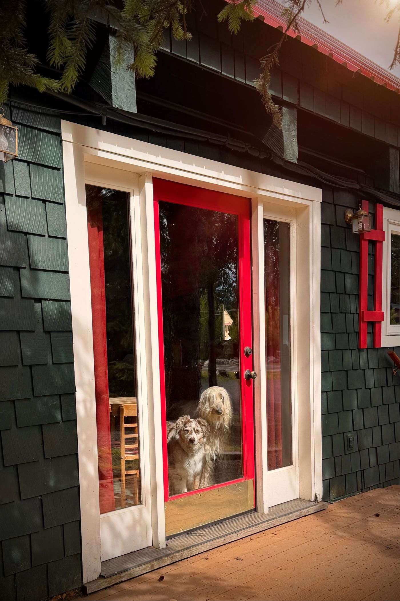 A house with a red door and a dog standing inside.