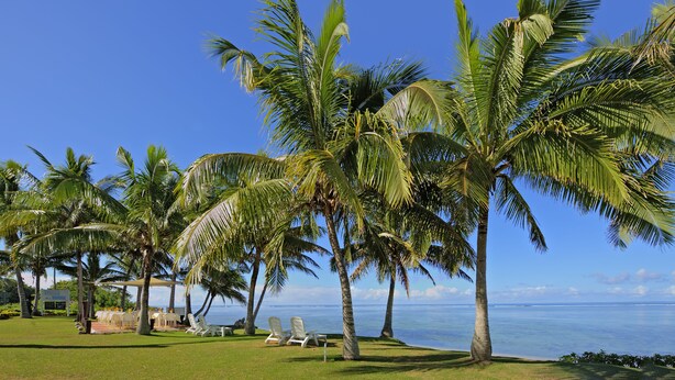 Un complexe hôtelier situé en bord de mer, avec des palmiers, des chaises longues et une vue sur l’océan.