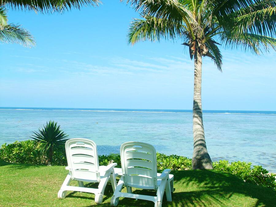 Two white lounge chairs on a grassy area with a palm tree and ocean view.