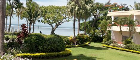 A well-maintained garden with a yellow kayak, palm trees, and a view of the ocean.