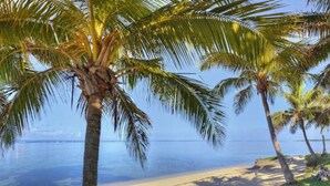 Une plage bordée de palmiers, offrant une vue dégagée sur l’océan.