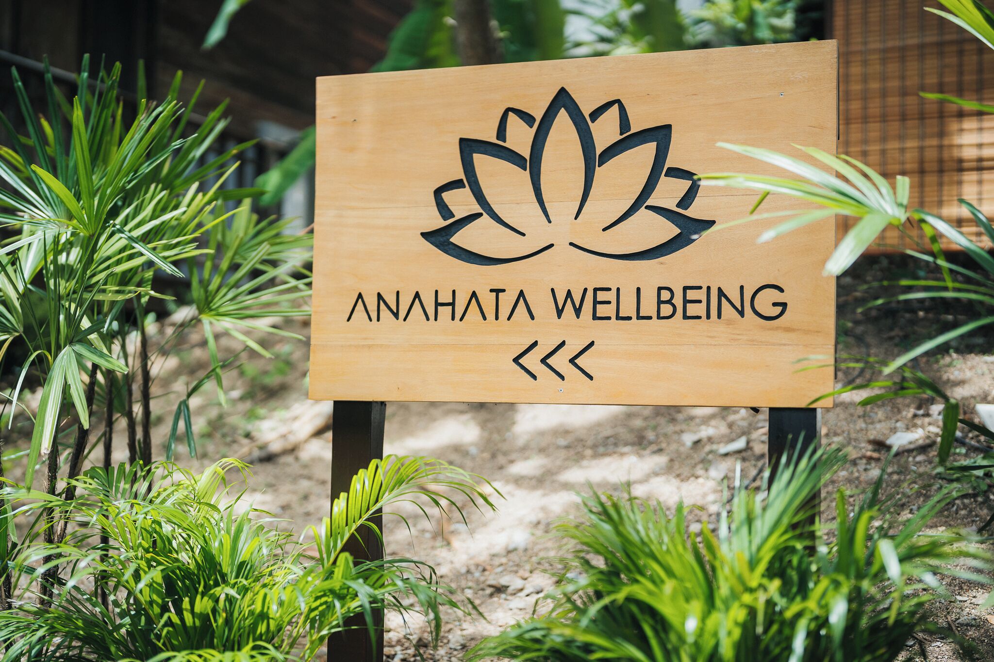 couples treatment room(s), hot tub, body treatments, aromatherapy