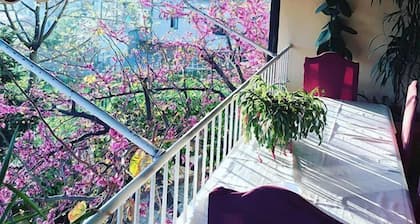 Hotel Baron