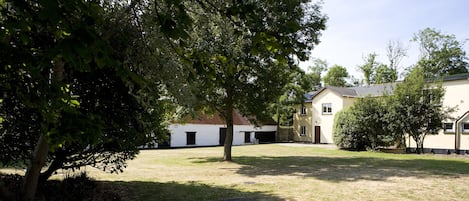 Un patio con un árbol, un edificio de fachada blanca y un pequeño arbusto.