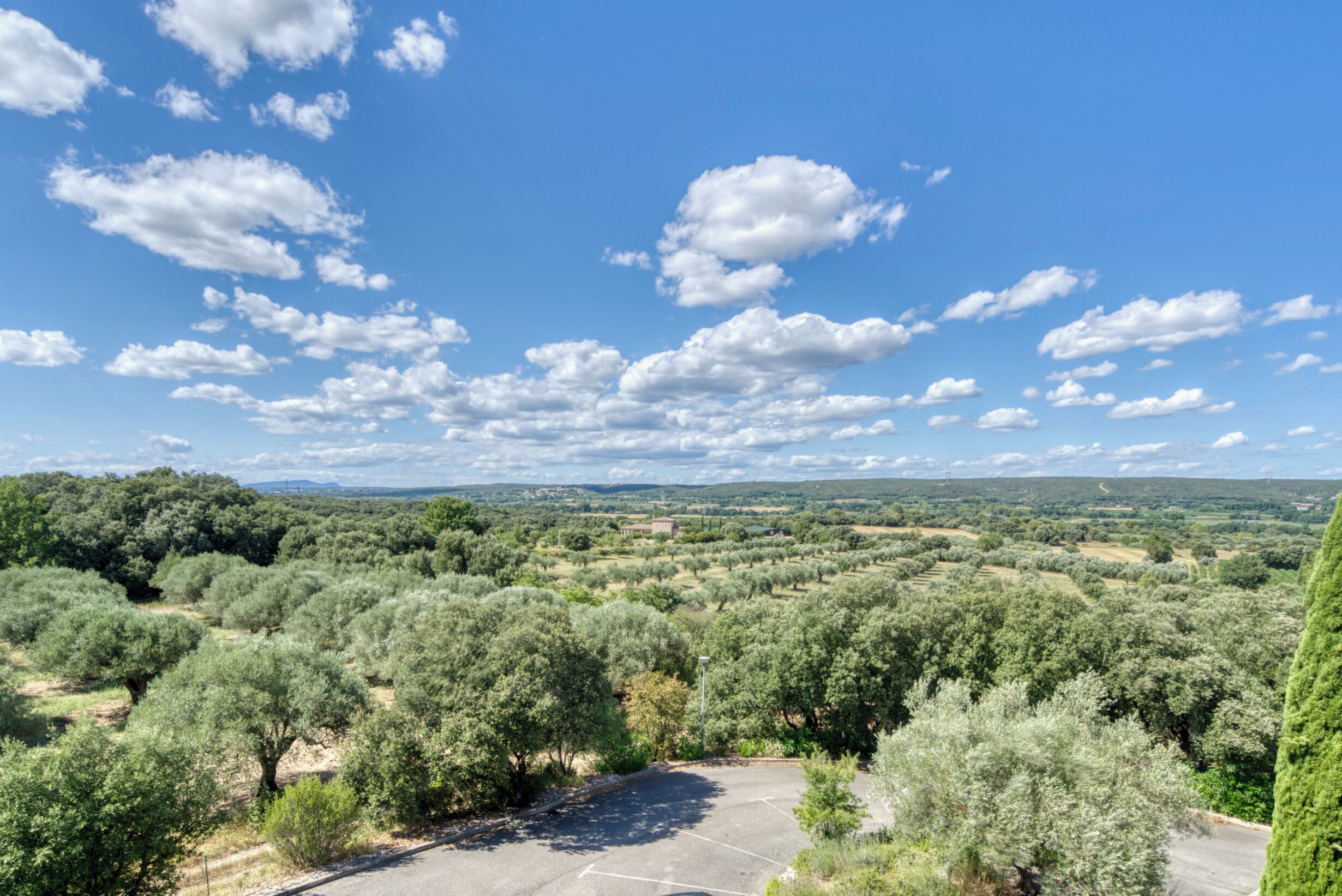 A landscape with olive groves, a paved area, and a clear sky.