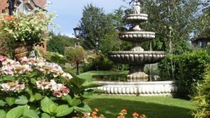 A multi-tiered stone fountain surrounded by lush greenery and flowering plants.
