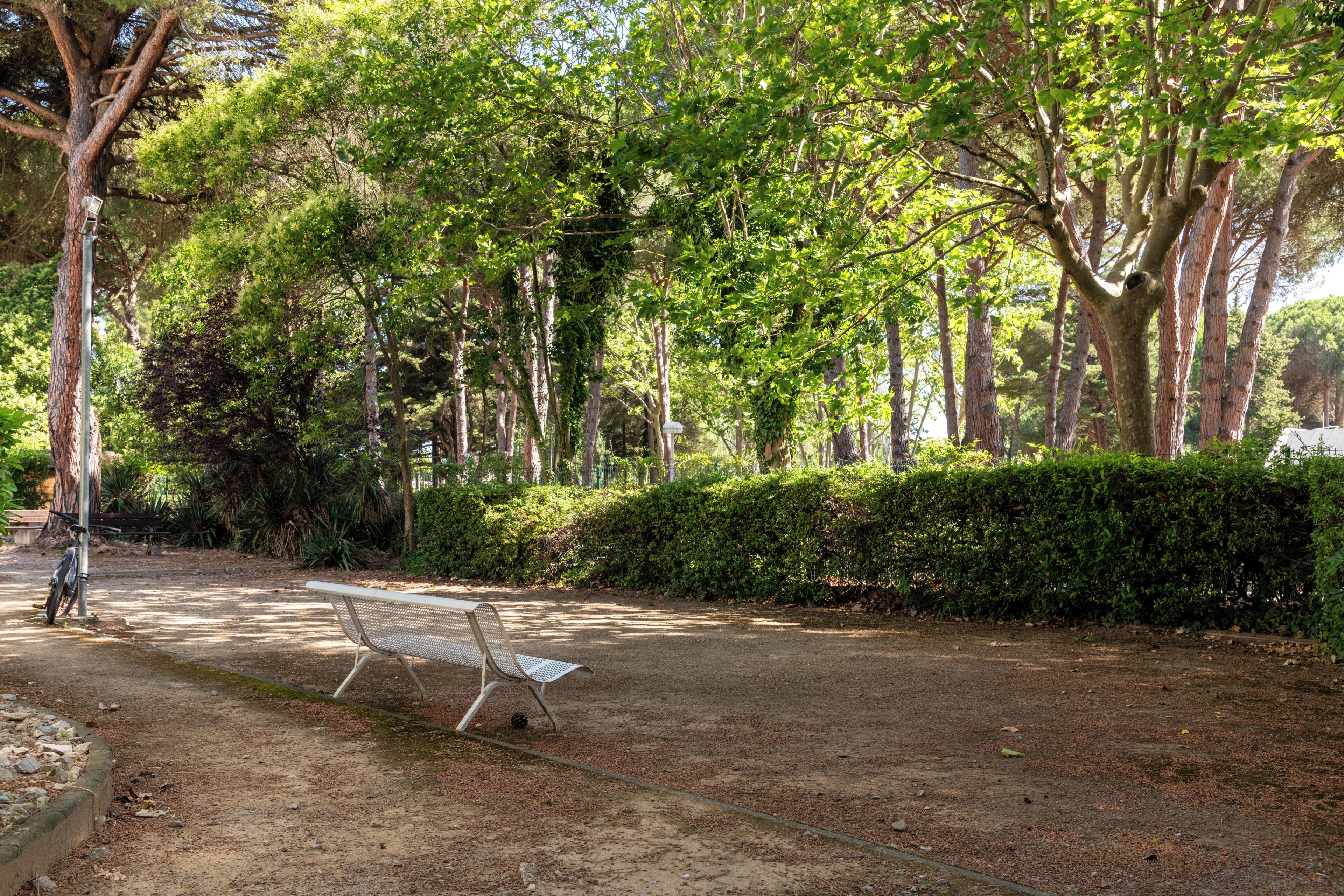 Un parque con un banco, árboles y una bicicleta.