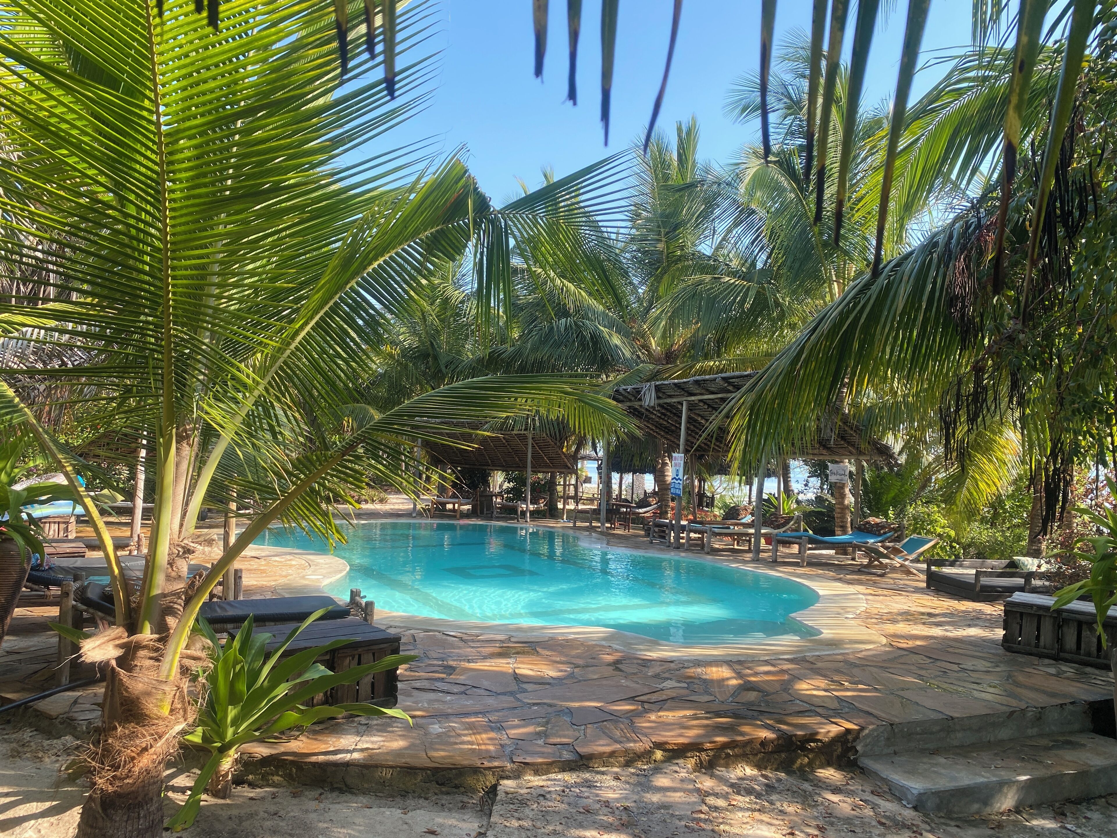 室外泳池；07:00 至 19:00 開放；泳池傘