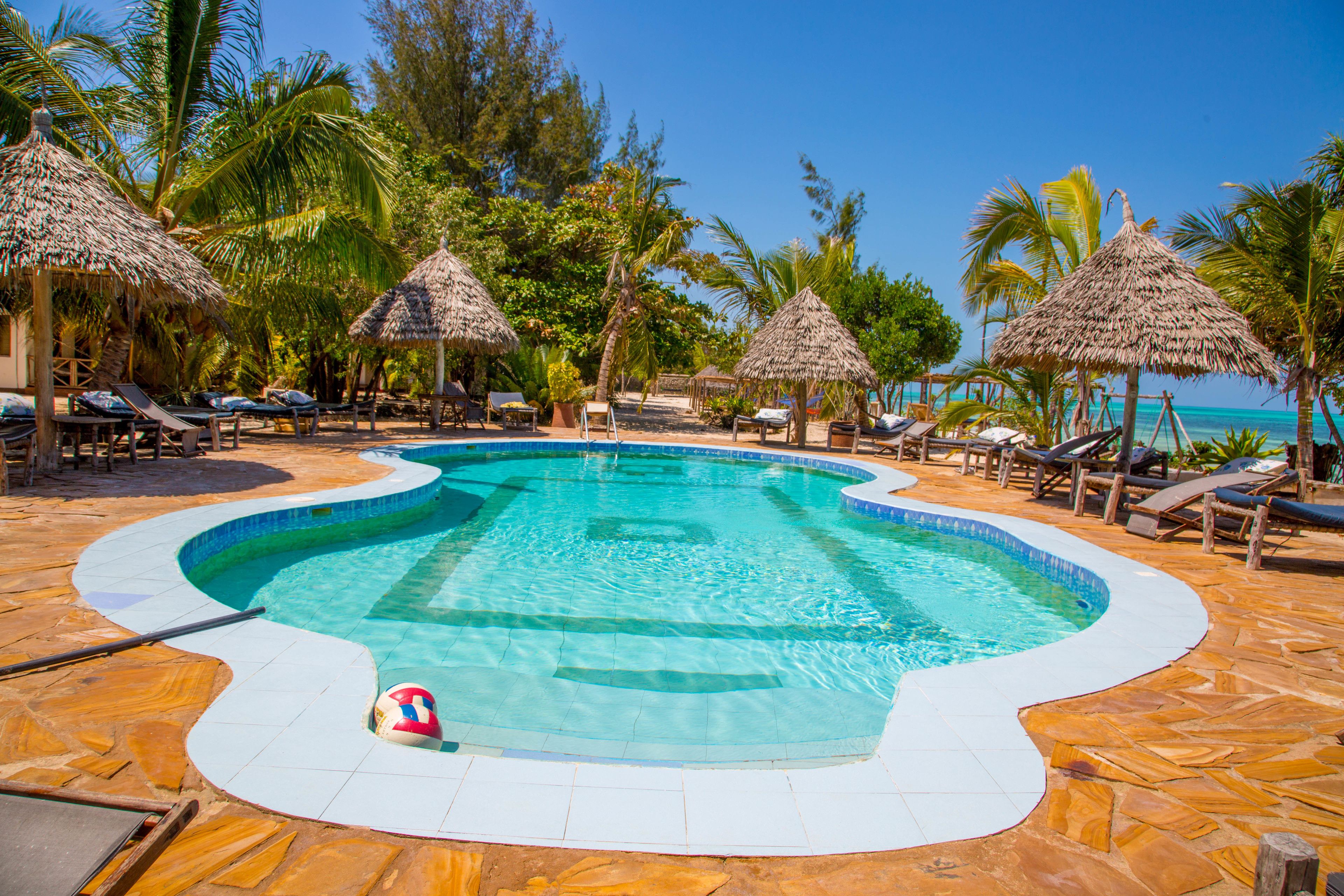Un área de piscina con borde curvo, sillas de descanso y sombrillas de paja.