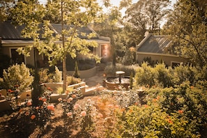 Un jardin agrémenté d’une fontaine, entouré de différentes plantes et fleurs.