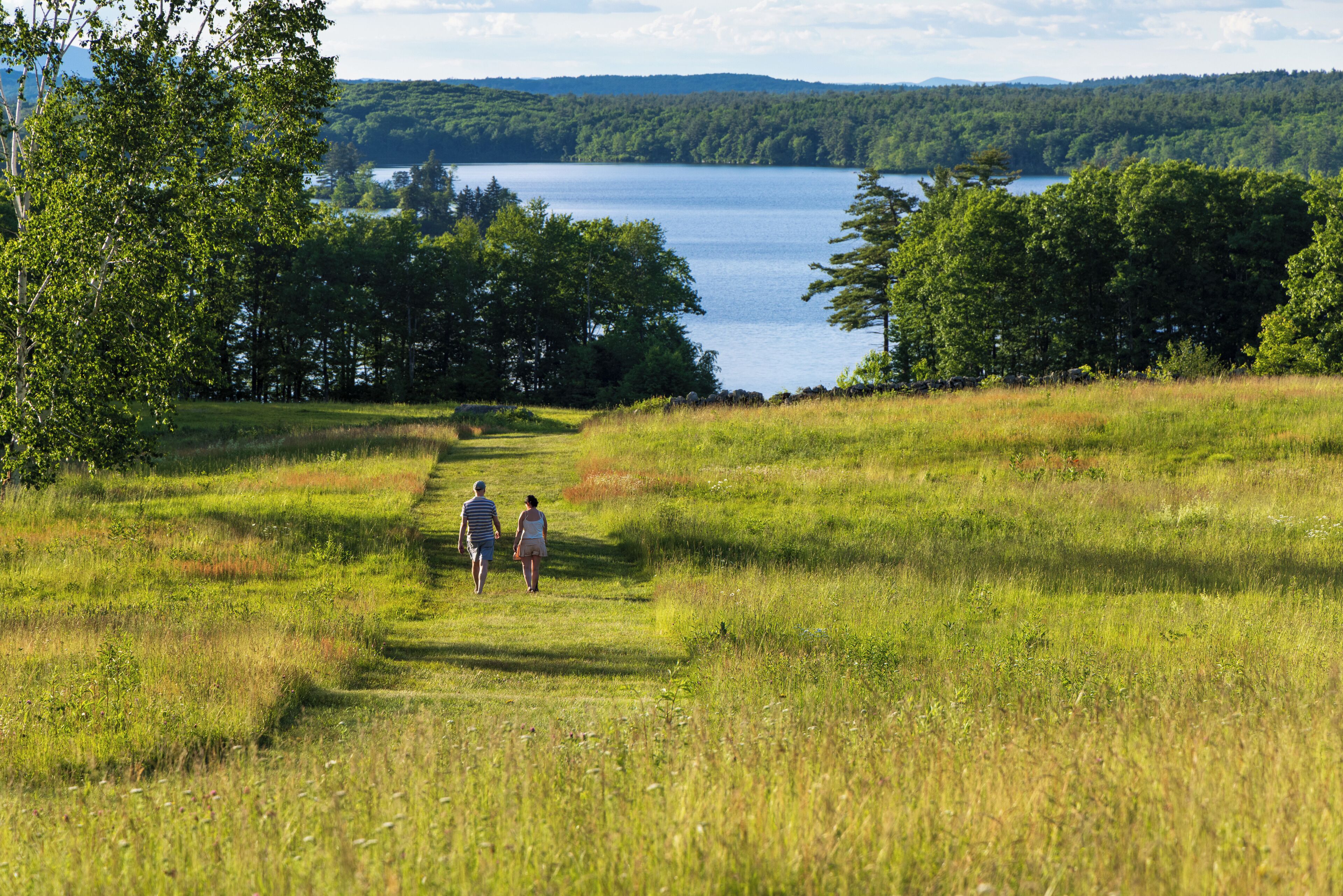 A grassy path leading to a lake surrounded by trees.