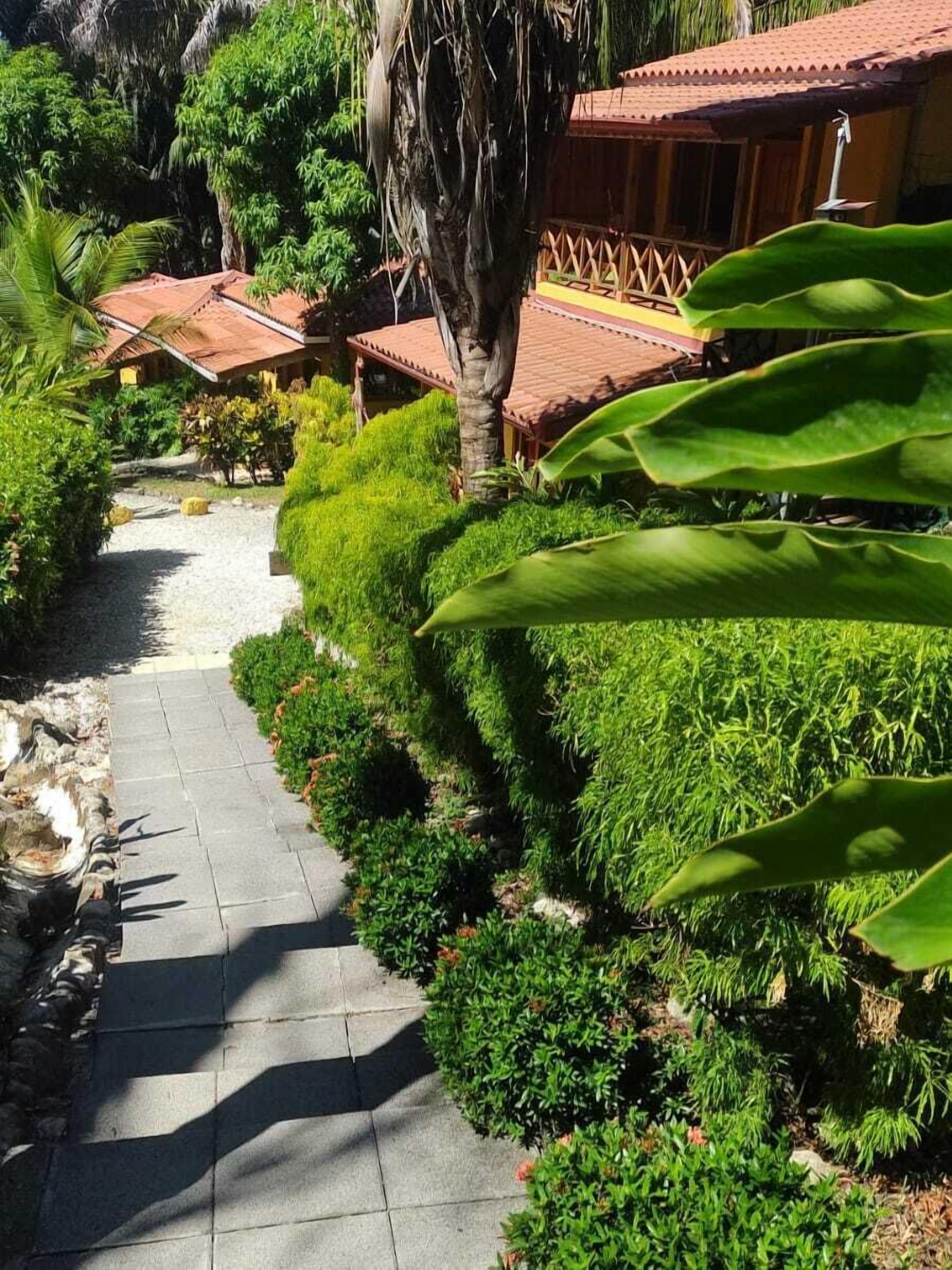 A pathway lined with lush greenery and a traditional building with a tiled roof.